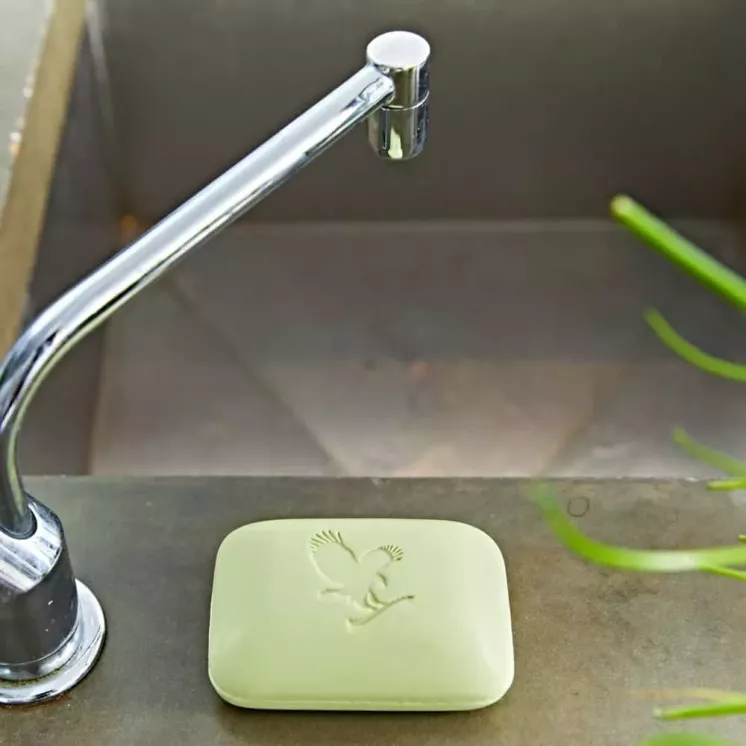 Pain de savon Forever Aloe Avocado Face & Body Soap posé près d’un évier moderne, conçu pour hydrater et nettoyer en douceur.