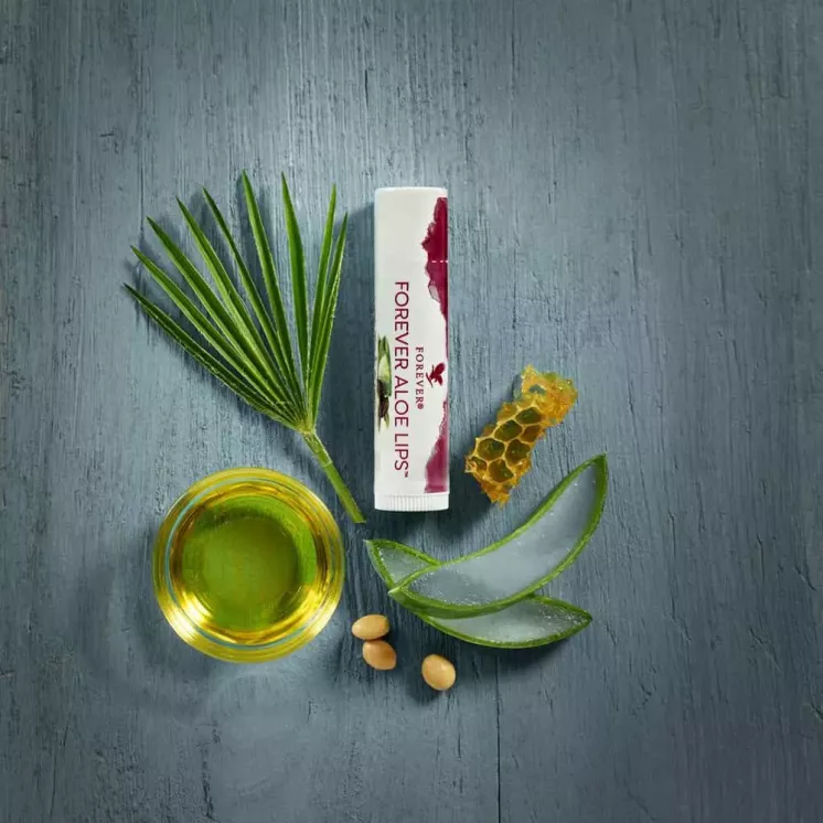Stick Forever Aloe Lips entouré de ses ingrédients clés : Aloe Vera, cire d’abeille et huile de Jojoba. Soin naturel des lèvres.